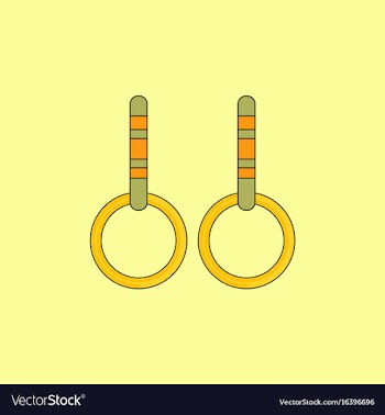 Gymnastics rings vector image
