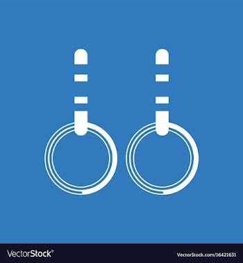 Gymnastics rings vector image