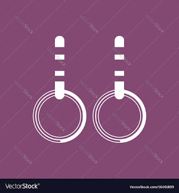 Gymnastics rings vector image