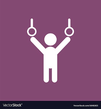 Gymnastics rings vector image