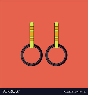 Gymnastics rings vector image