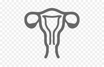 Gynaecology Medicine Obstetrician-gynecologist Physician Health Care - health 
