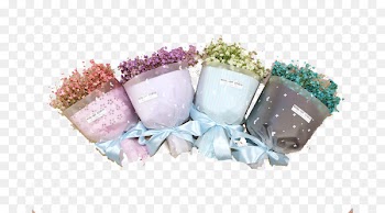 Gypsophila paniculata Gift Nosegay Flower - Flowers,bouquet,nice 
