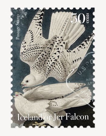 Gyrfalcon postage stamp, ephemera collage | Free PSD - rawpixel