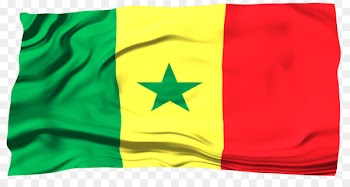 H&M Clothing Zara Next plc HEMA - senegal flag 
