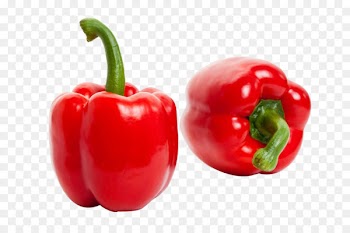 Habanero Birds eye chili Bell pepper Cayenne pepper Tabasco pepper - HD clips red bell pepper 