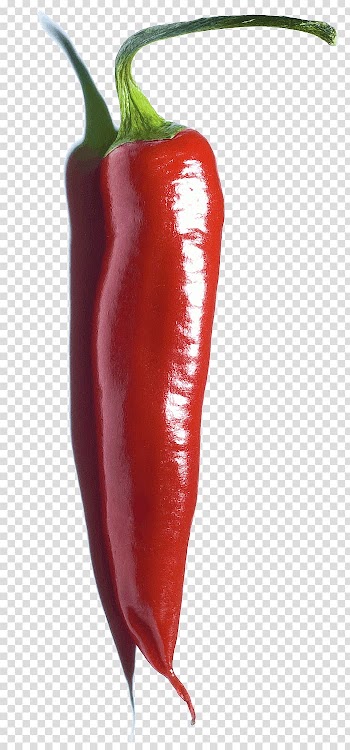Habanero Serrano pepper Chile de árbol Piquillo pepper Bird's eye chili, chili watercolor transparent background PNG clipart