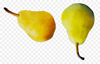 Habanero Still life photography Pear Chili pepper -  