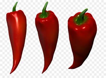 Habanero University for the Creative Arts, Rochester Campus Bird's eye chili Bell pepper Tabasco pepper - alan infographic 