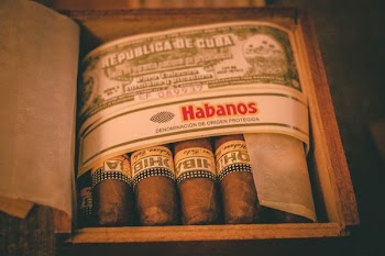 Habanos cigars in box