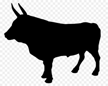 Hachioji RIPS Dairy cattle Tokyozokei University Ox Shinjuku -  