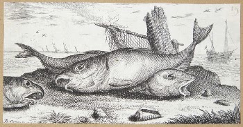 Haddock (Edefinus) | Free Photo - rawpixel