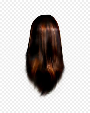 Hair coloring Brown hair Black hair Long hair -  