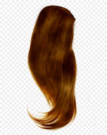 Hair coloring Layered hair Long hair Brown hair -  