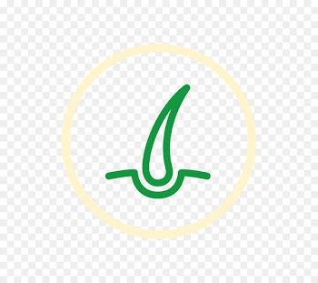 Hair, Cosmetics, Hairstyle, Logo, Line PNG