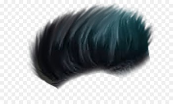 Hair Editing - commonly used hair 