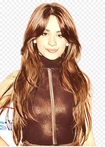 hair hairstyle brown hair long hair layered hair
