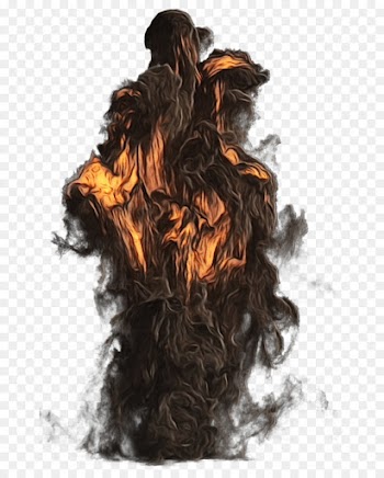 hair hairstyle brown long hair wig