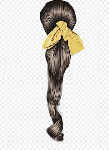 hair hairstyle hair accessory long hair wig