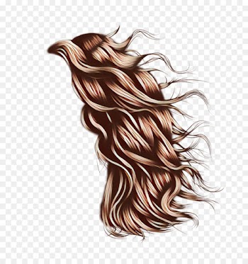hair long hair brown hairstyle brown hair