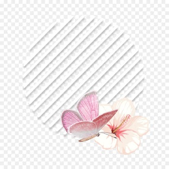 Hair, Lotion, Shampoo, Pink, Petal PNG