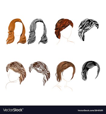 Hair natural and silhouette vector image