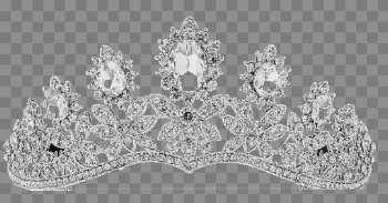 Hair Ornaments PNG Image with Transparent Background