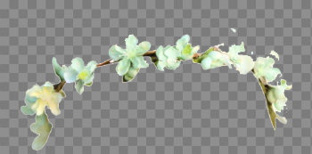 Hair Ornaments PNG Transparent Image