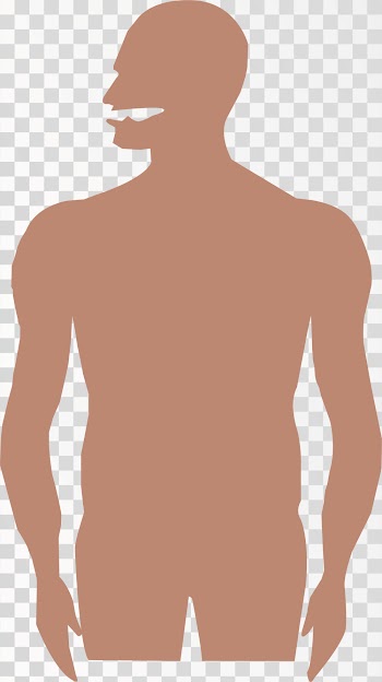 Hair Style of Human or men man