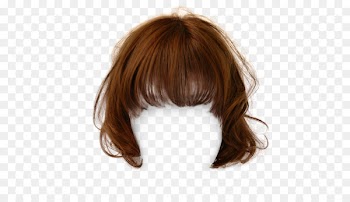 Hairstyle Brown hair Wig - Attractive short hair clips to pull the Free Photos 