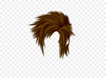 Hairstyle Clip art Portable Network Graphics Wig - hair 