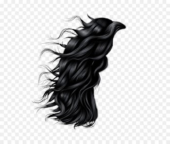 Hairstyle Clip art - Women Hair Png Image 