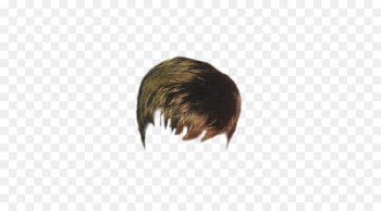 Hairstyle Comb Long hair - Men's fashion brown hair 