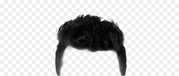 Hairstyle Fashion - Hairstyle Individuality 