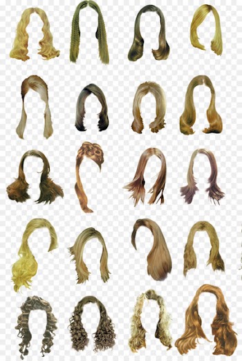 Hairstyle Long hair Clip art - hair 