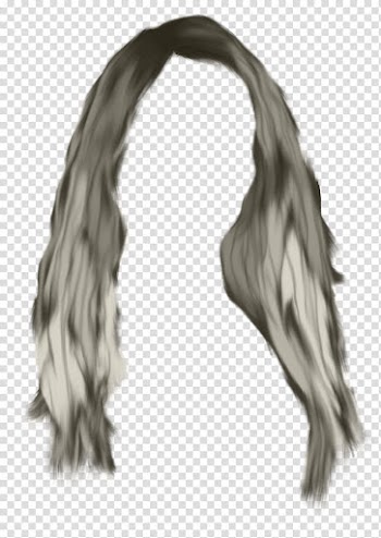Hairstyle Long hair Wig, hair transparent background PNG clipart