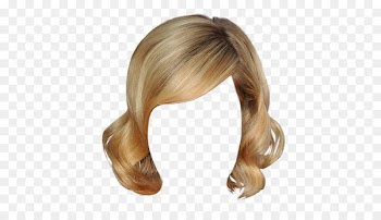 Hairstyle New Hair Style Hairdreser Game Wig - hair 