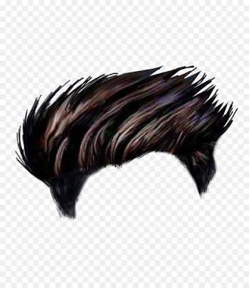 Hairstyle PicsArt Photo Studio Editing - Hairdressing 