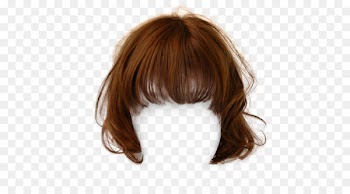 Hairstyle Wig Bangs - hair 
