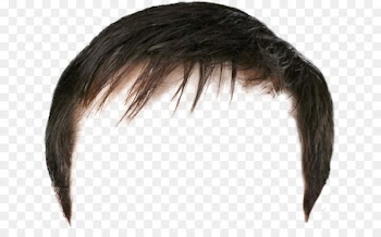 Hairstyle Wig Beard - hair 