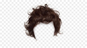 Hairstyle Wig Fashion - wig vector 