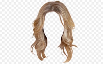 Hairstyle Wig - hair 