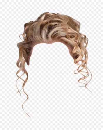 Hairstyle Wig Hairdresser - Hot wig 