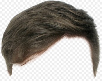Hairstyle Wig Long hair Beard - hair 