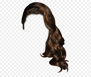 Hairstyle Wig Long hair - STYLE 