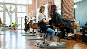 Hairstylist trimming a hair of a customer  | Free stock photo | High Resolution image