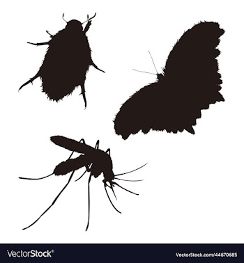 hairy insect silhouette set