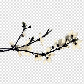 Haixihai Reservoir Ink wash painting, White pear flower branches transparent background PNG clipart