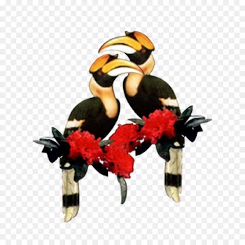 Hakha Zou people Zo people Kachin State - hornbill 