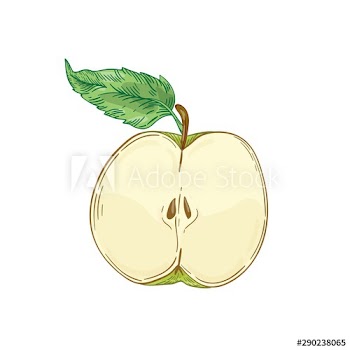 Half apple fruit hand drawn vector illustration